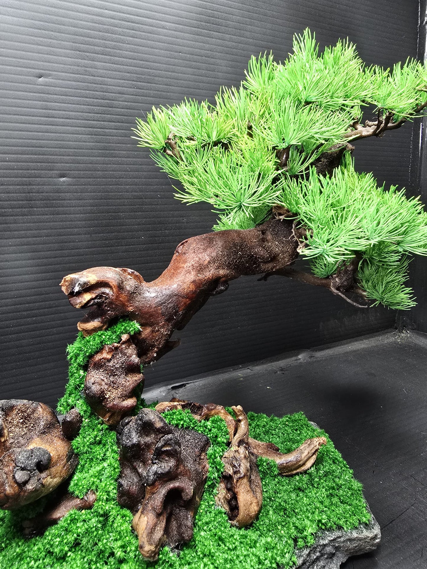 "Windswept Horizon" - Preserved Botanical Sculpture D04