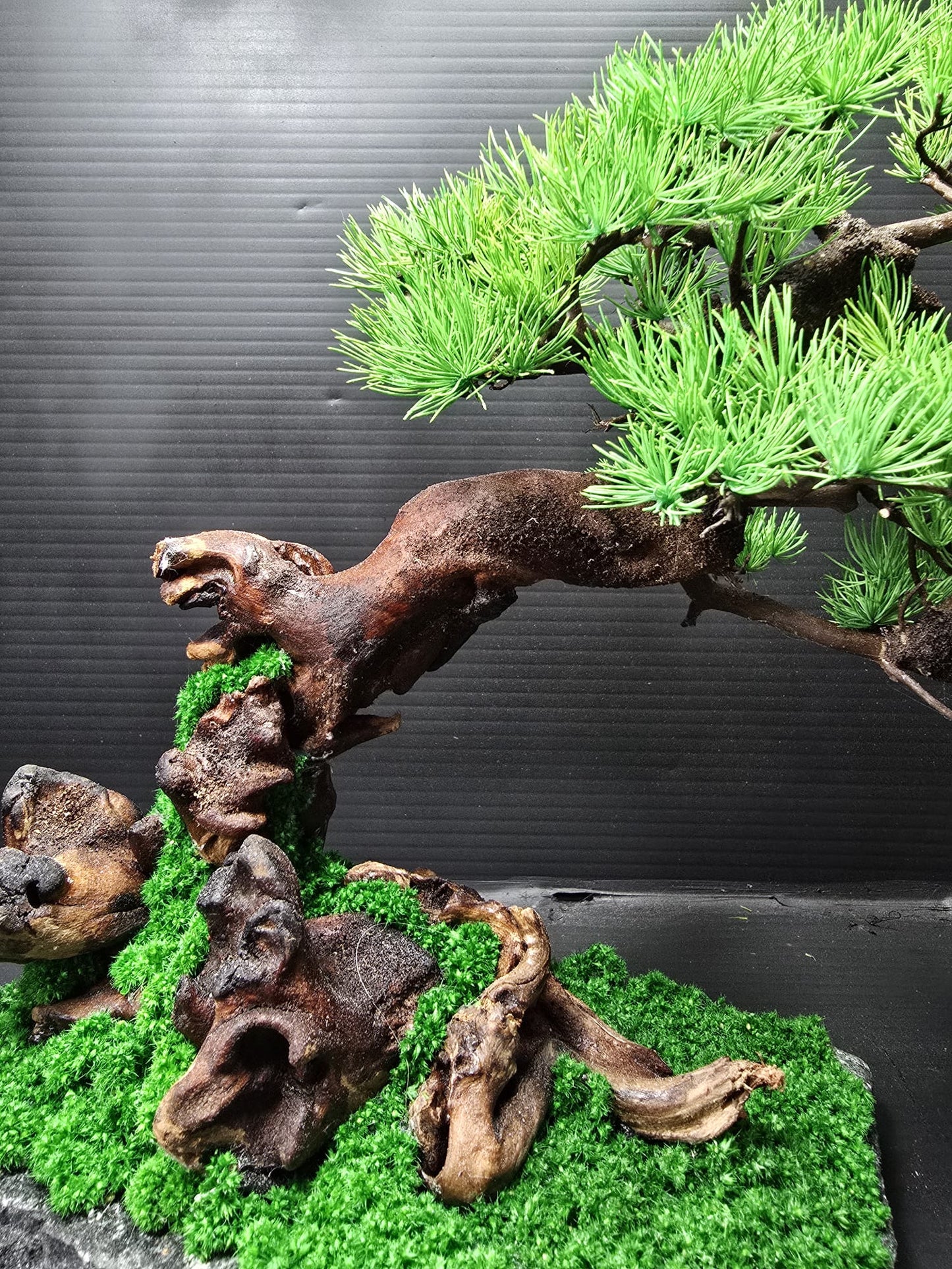 "Windswept Horizon" - Preserved Botanical Sculpture D04
