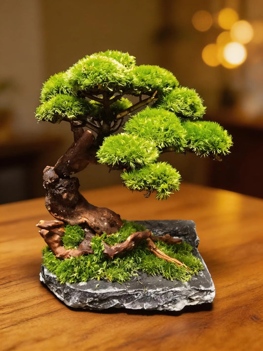 “Timber Serenity” — Preserved Botanical Sculpture E01