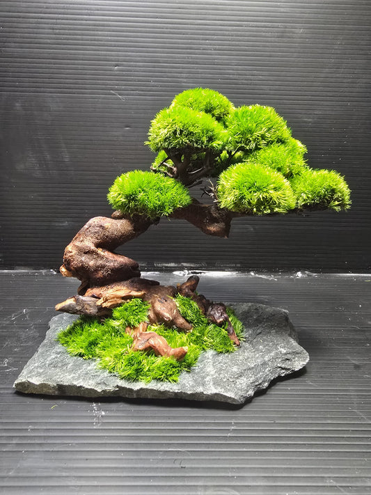 “Emerald Canopy” — Preserved Botanical Sculpture E02