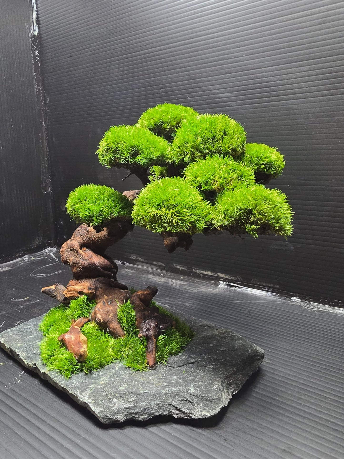 “Emerald Canopy” — Preserved Botanical Sculpture E02
