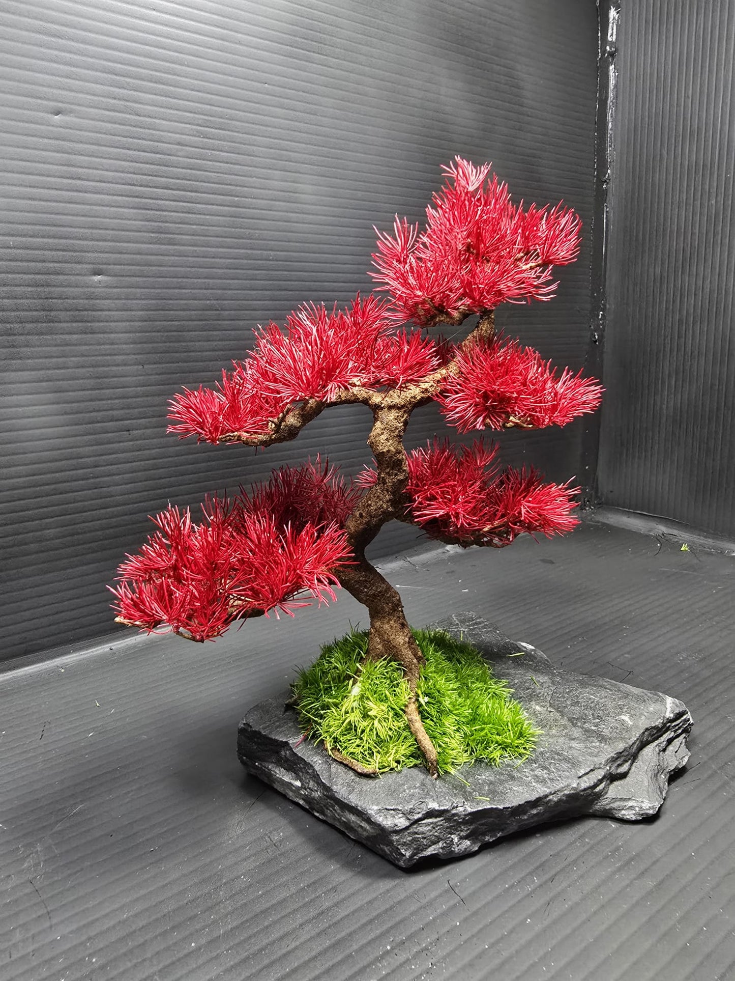 “Scarlet Balance" — Preserved Botanical Sculpture E04