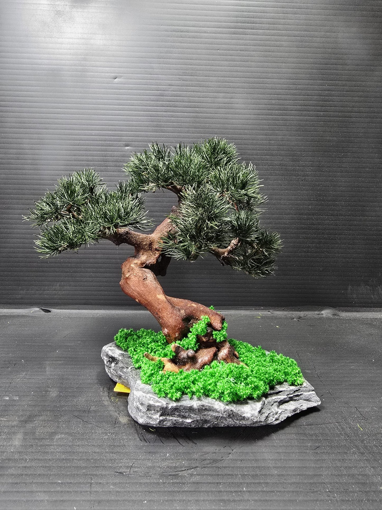“Lowland Serenity” — Preserved Botanical Sculpture E05