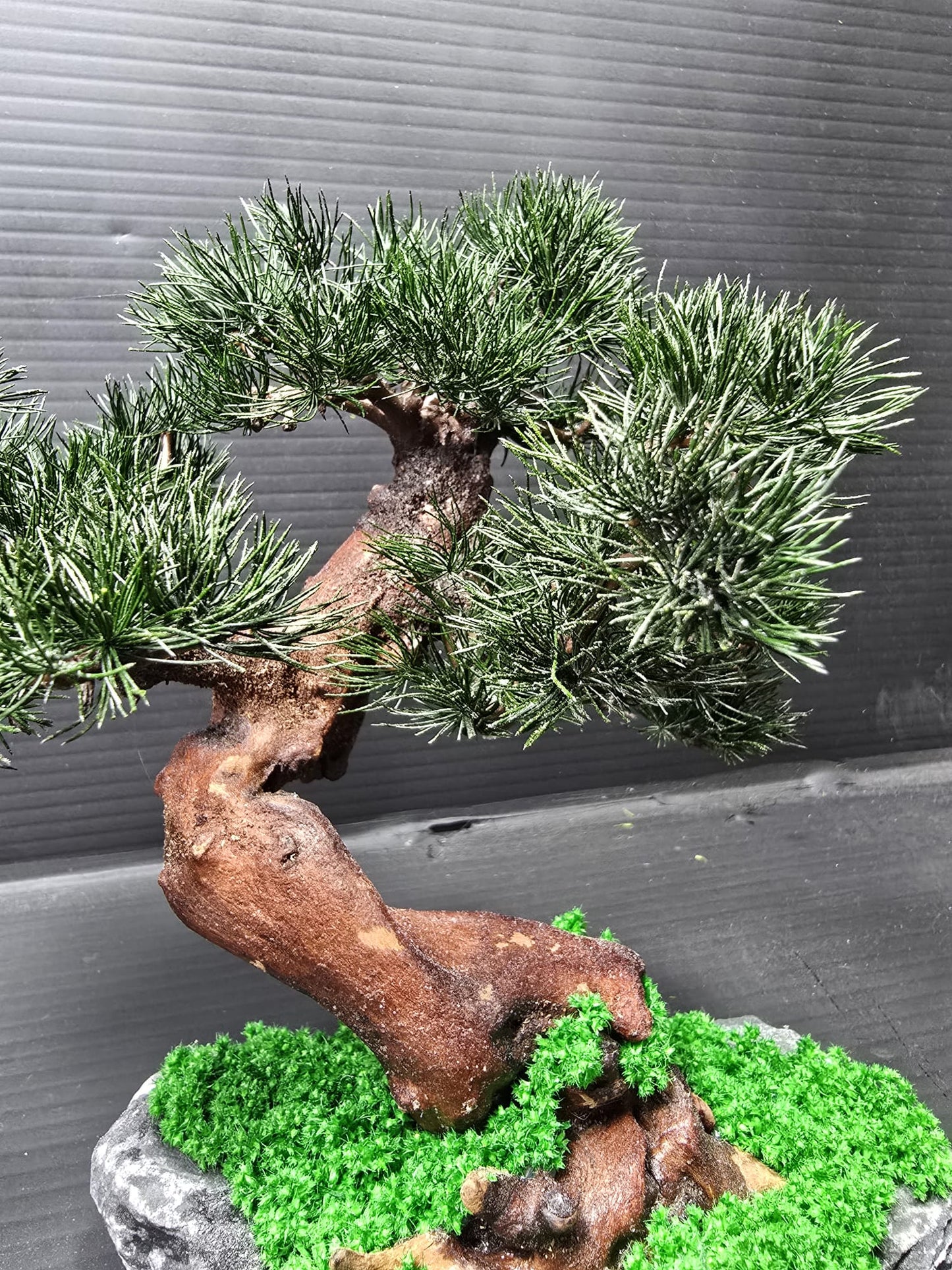 “Lowland Serenity” — Preserved Botanical Sculpture E05