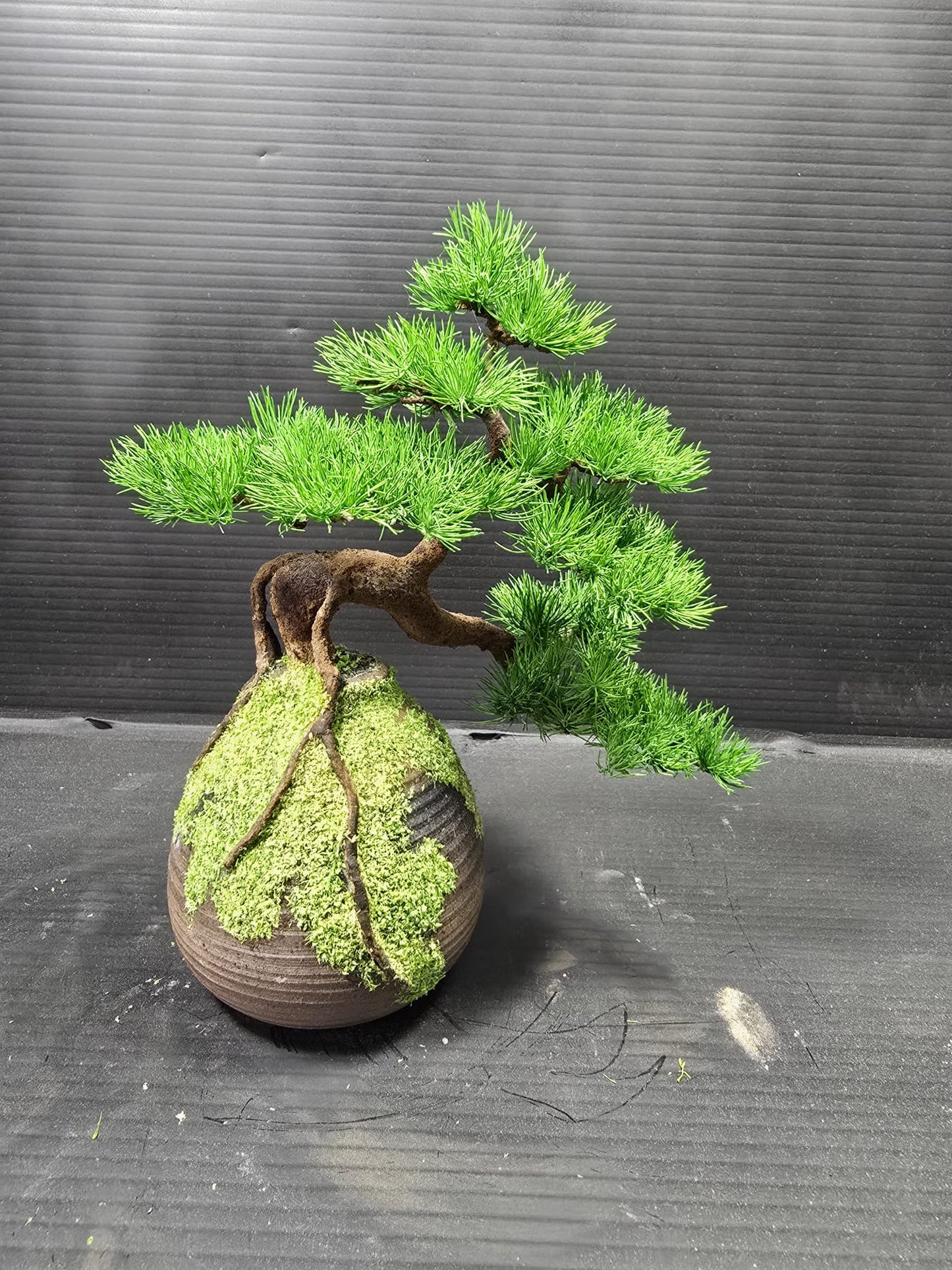 "Rooted Vessel" - Preserved Botanical Sculpture F10
