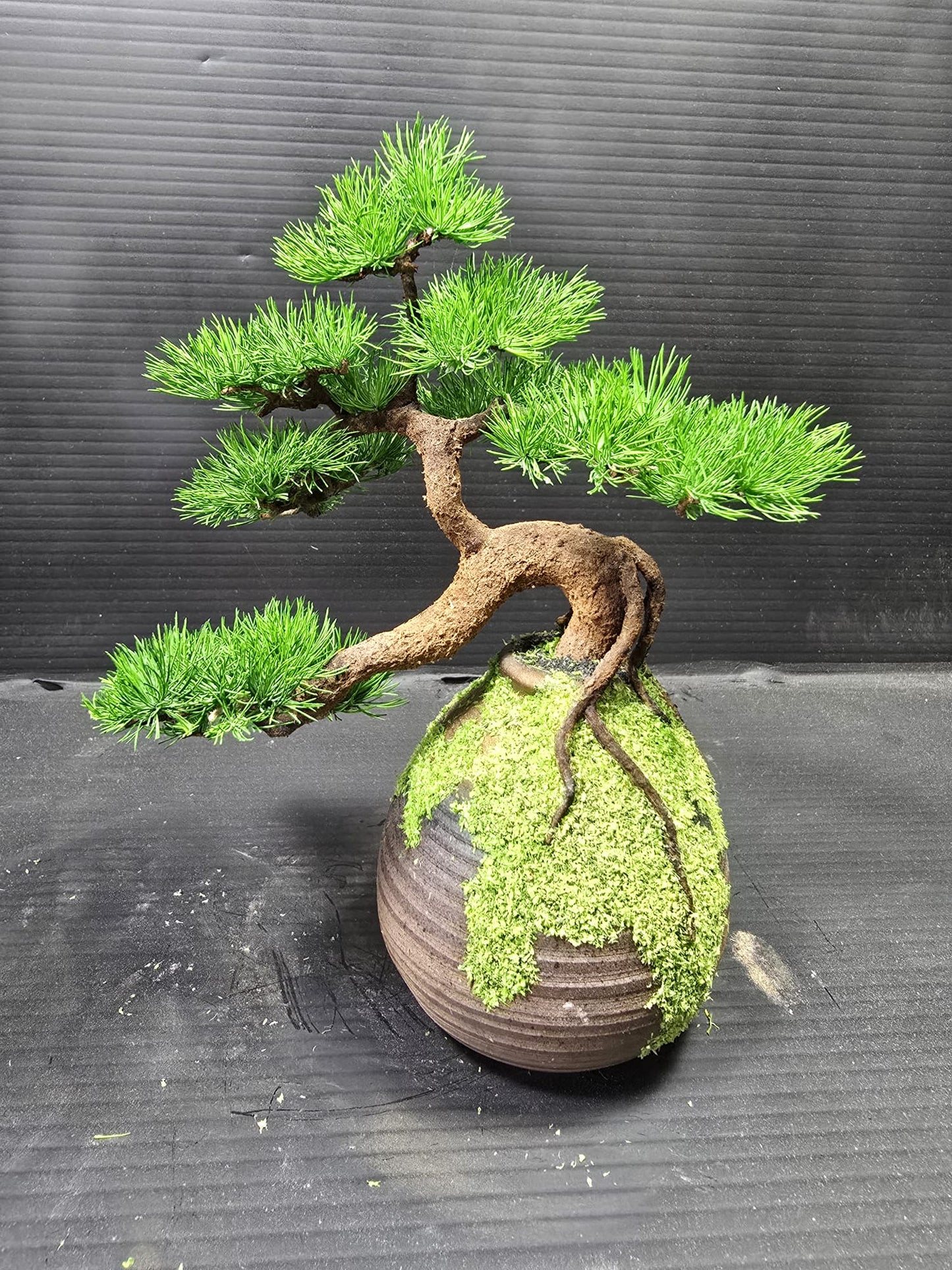 "Rooted Vessel" - Preserved Botanical Sculpture F10