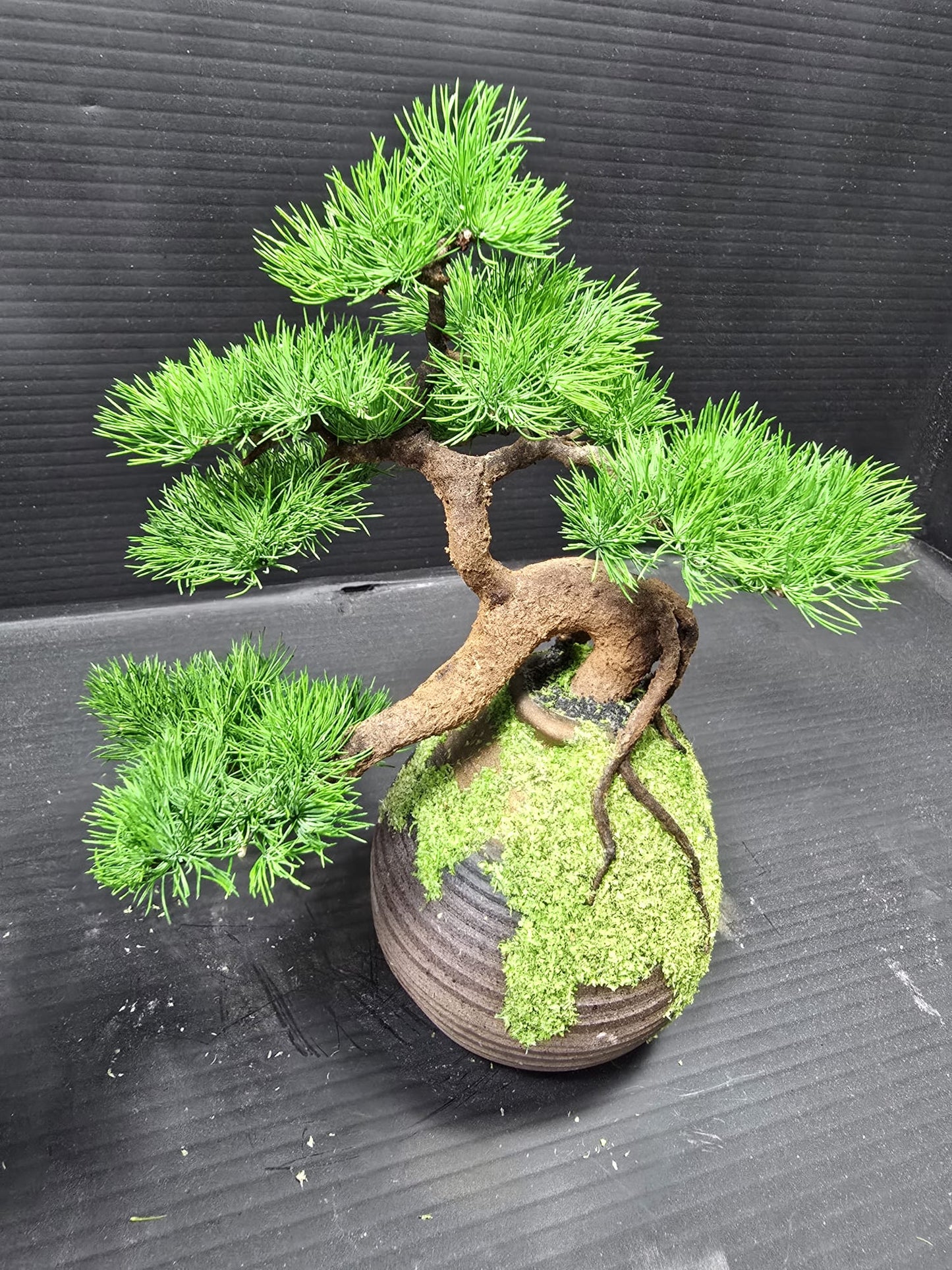 "Rooted Vessel" - Preserved Botanical Sculpture F10
