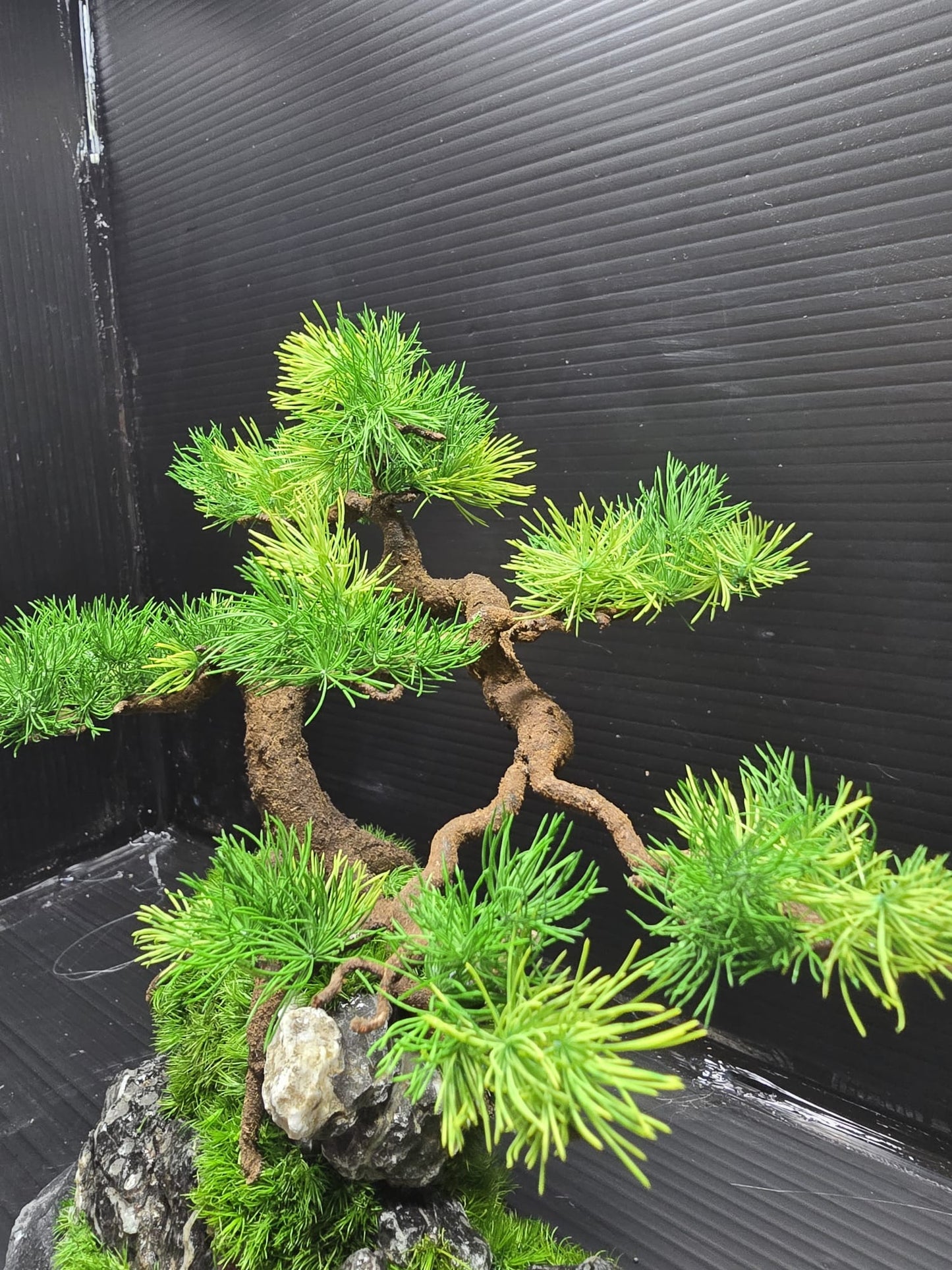 “Verdant Poise” — Preserved Botanical Sculpture